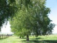/album/fotogalereya-bashkiriya-aksakovskie-mesta/img-3093-kopiya-2-jpg/